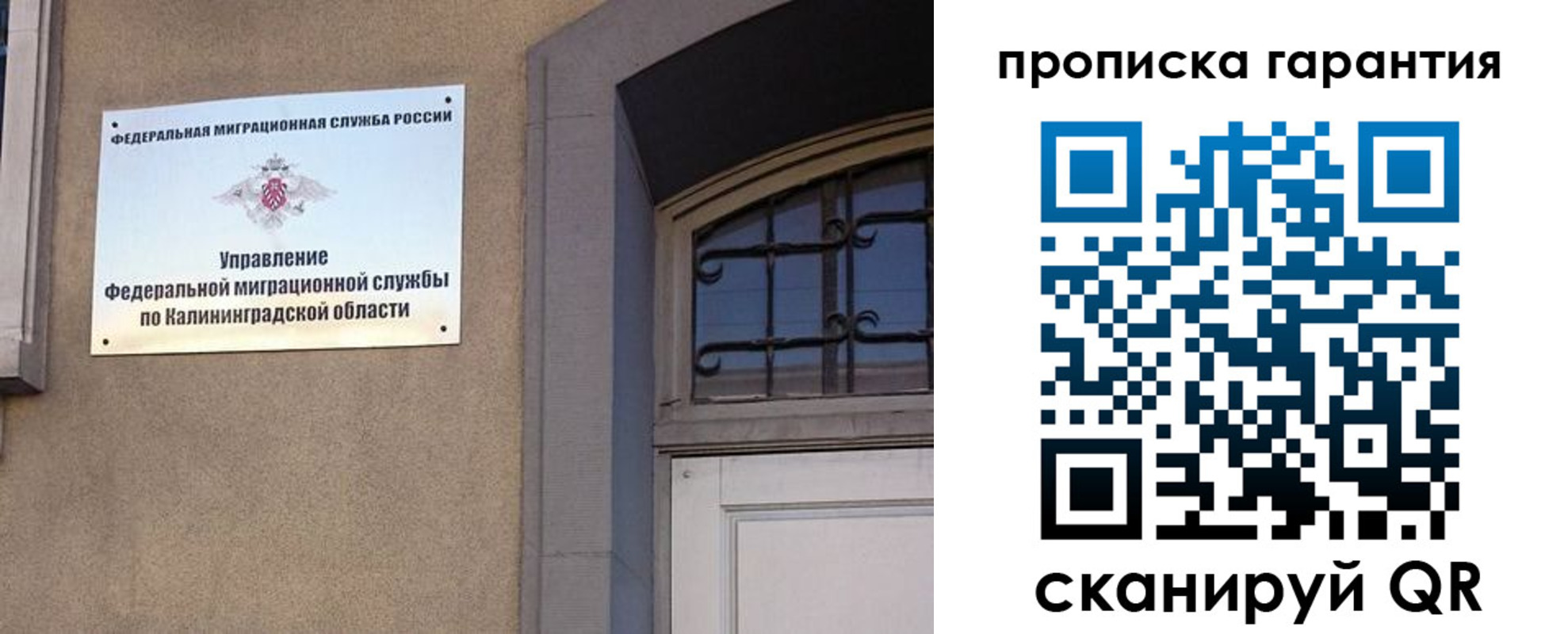 прописка иностранных граждан в Курской области